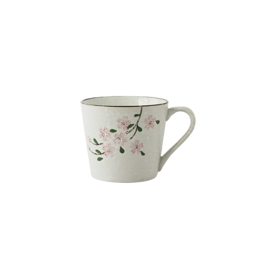 Roomcytle Ceramic Mug Japanese Style Double Wall Coffee Cup